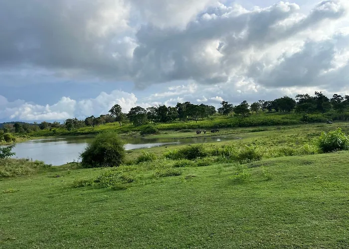 The Wild Fo'Rest Resorts Masinagudi
