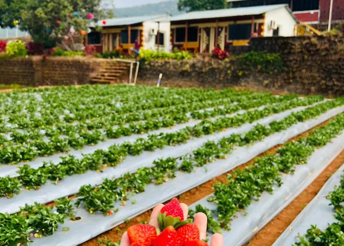 Heavens Edge Resort Mahabaleshwar