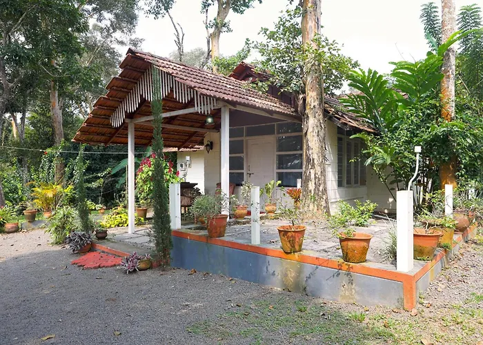Bovera Orchards Coorg By Luxdens Hotels Virajpet