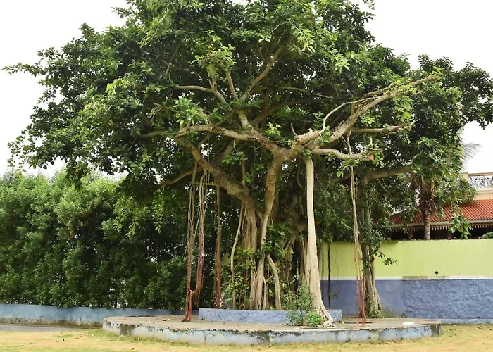 Art Resort & Farm House Mahabalipuram