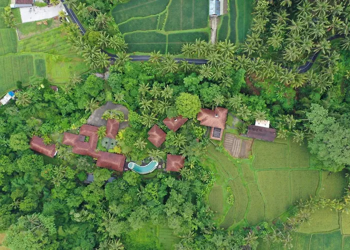 Beingsattvaa Luxury Ubud