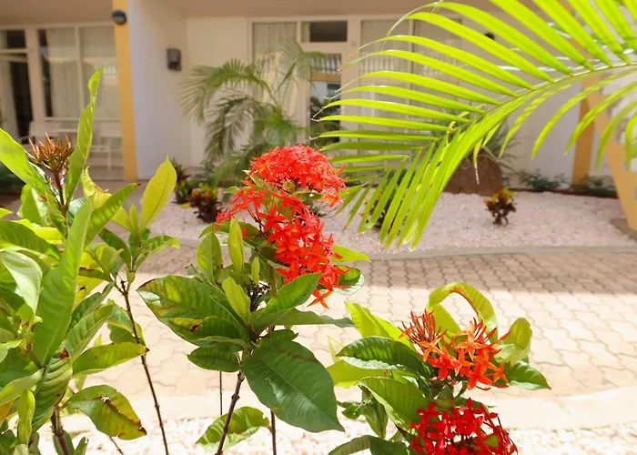 Montana Eco Resort Aruba Oranjestad