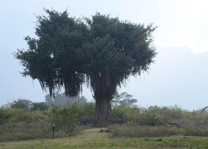 Aarraams Farms & Resorts Masinagudi