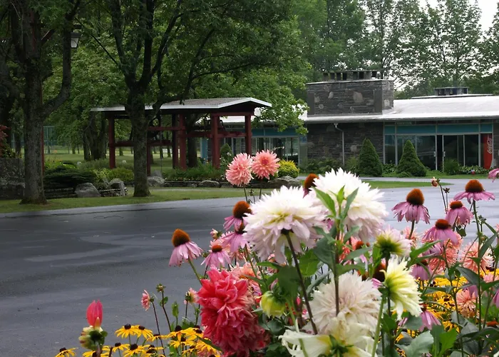 Lukans Farm Resort Hawley