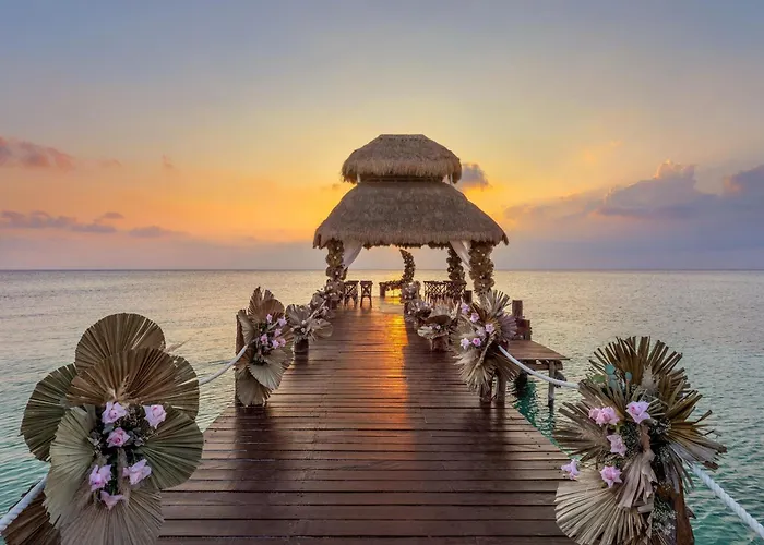 Secrets Aura Cozumel - Adults Only Hotel