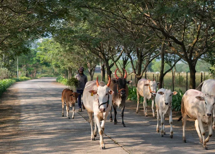 Sterling Stolen Heaven Lonavala Hotel
