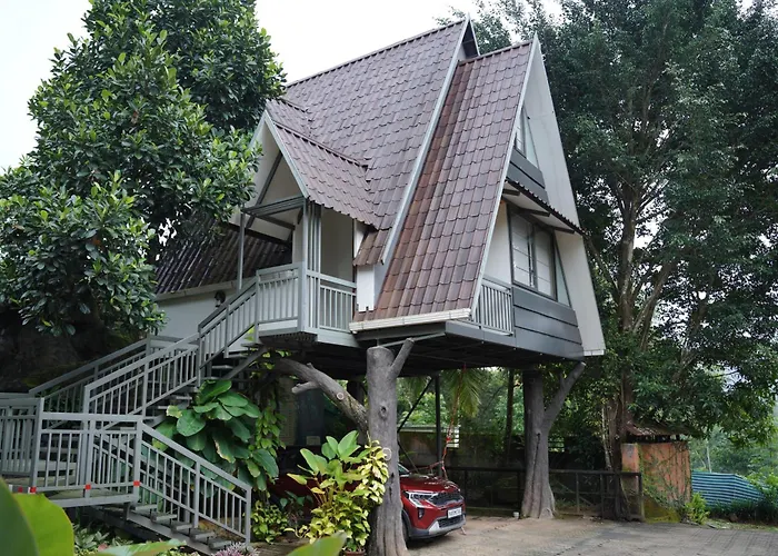 Olives The Boutique Resort Kalpetta