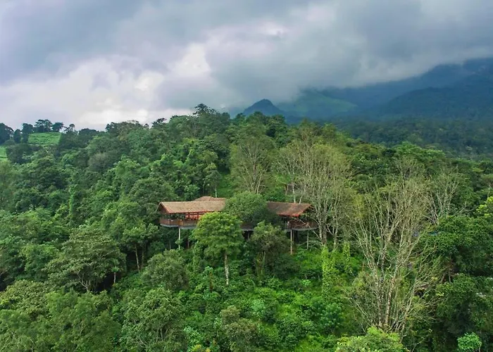 Vythiri Mist Resort