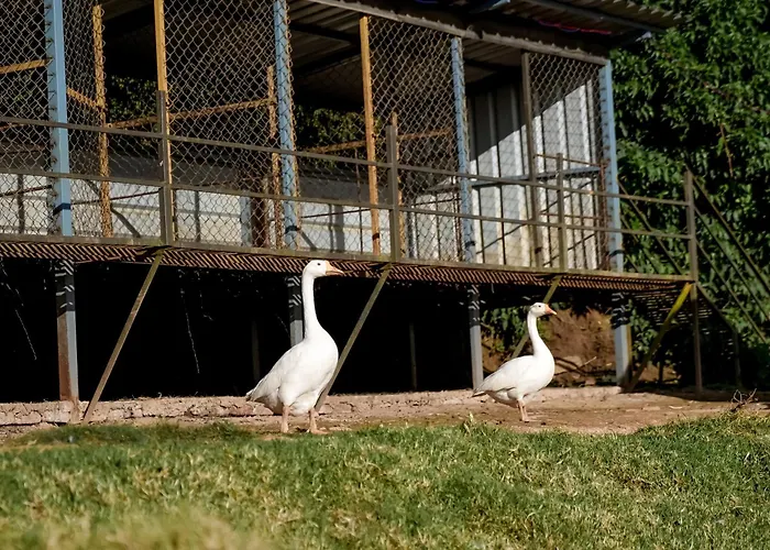 Virgin Valley Leisure Resort Ooty