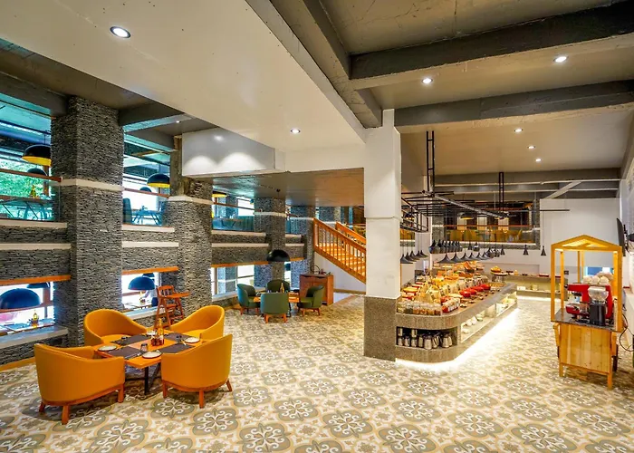 Justa Birding Resort & Spa - Best Dhauladhar View Resort Dharamshala