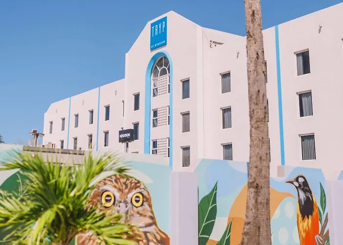 Tryp By Wyndham Aruba Adults Only Hotel Palm Beach