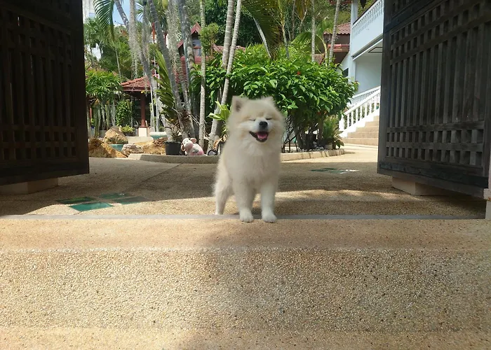 Samui Little Garden Resort Chaweng 