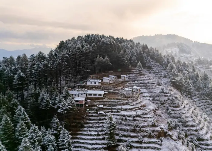 The Deodar Stays Kanatal