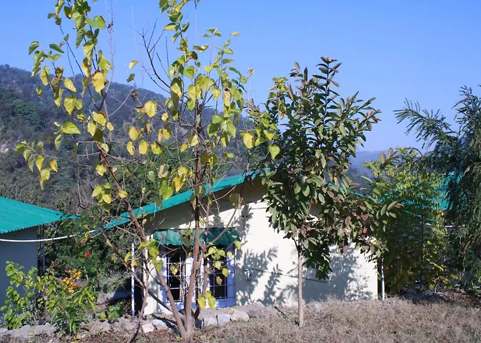 Shoolin Jungle Resort Rishikesh