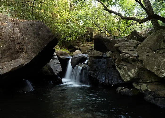 Jungle View Resort Mananthavady