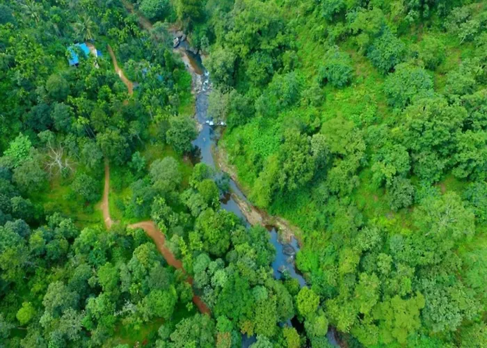 Ranches Jungle Beats Resorts Meppadi