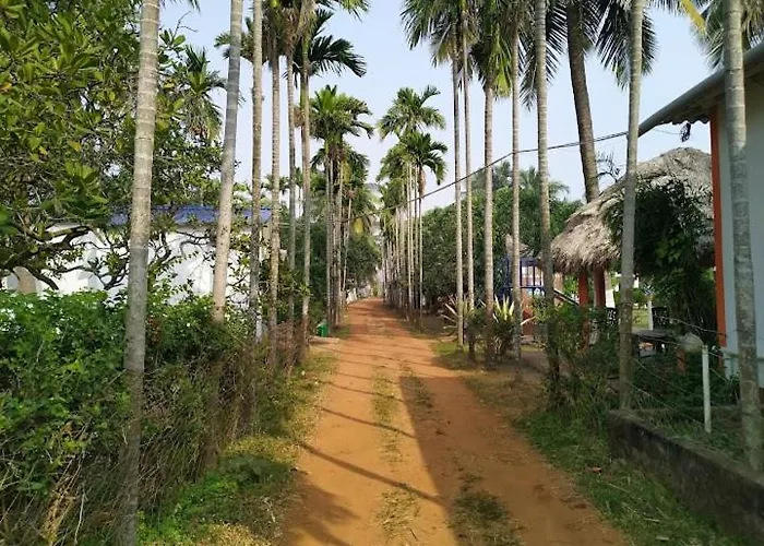 Abasar Resort, Tajpur