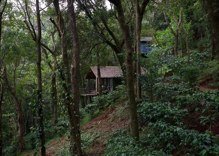 Deva Dhare Resort Sakleshpur