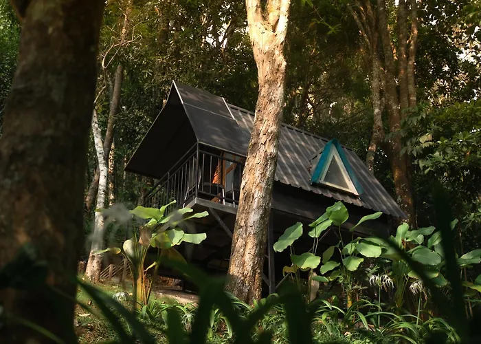 Garden Of Eden-Thottam Munnar-Hiking And Camping Anachal