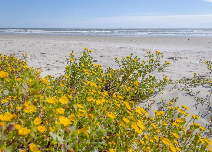 Islander East Condominiums Galveston