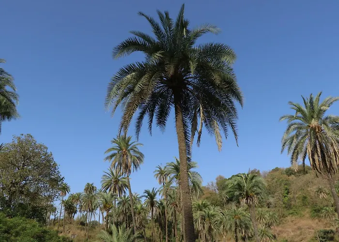 Hari Niwas - A Boutique Garden Resort Mount Abu