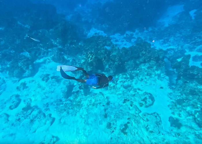 The Explorean Cozumel All Inclusive