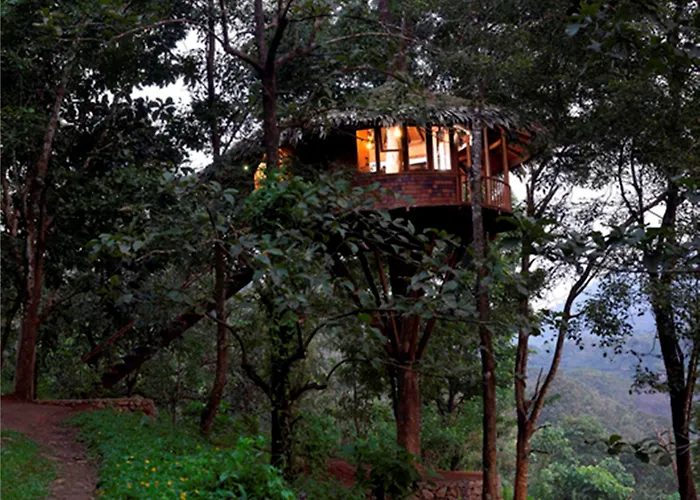 Rainforest Resort Athirappilly