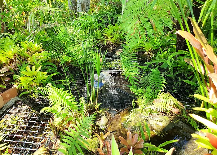 Noosa Village River Resort Noosaville