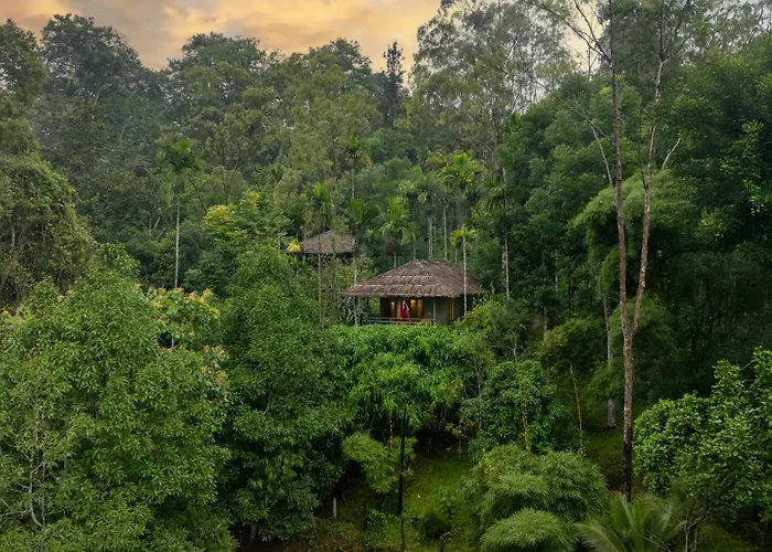 The Woods Resorts Wayanad Sultan Bathery