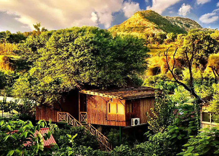 The Tree House Resort, Jaipur- A Club Mahindra Associate