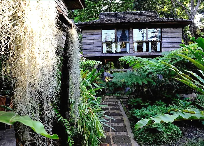 Fern Paradise Chiang Mai