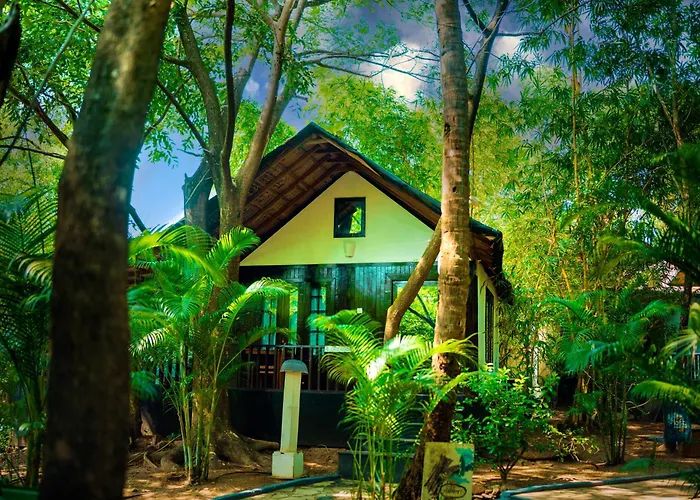 La La Land Resort Goa Palolem