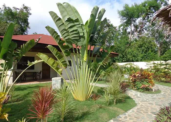 Alona Swiss Resort Panglao