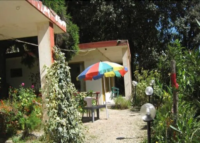 Janardan Resort Pangot - Nainital