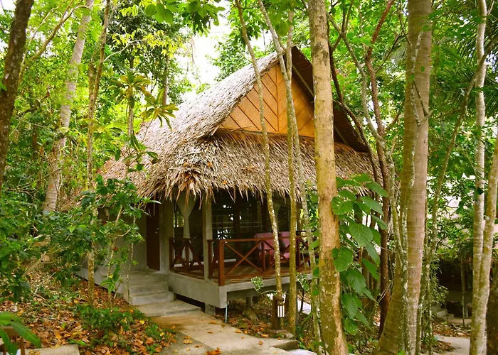 The Narima - Sha Plus Ko Lanta