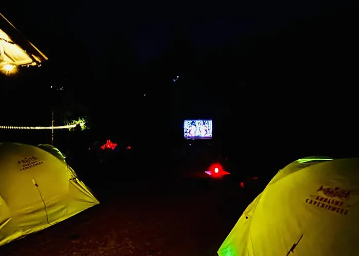 Club Mahindra Pristine Peaks Naldehra Hotel Shimla