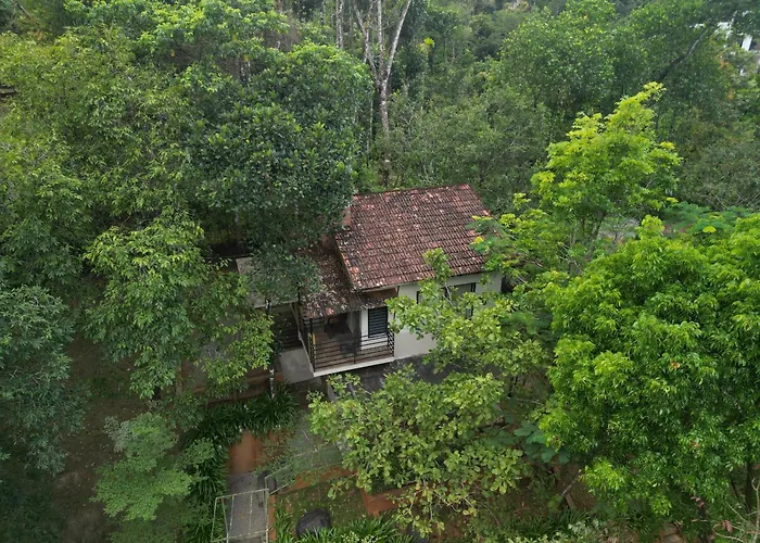 Safari Hills Hotel Vythiri