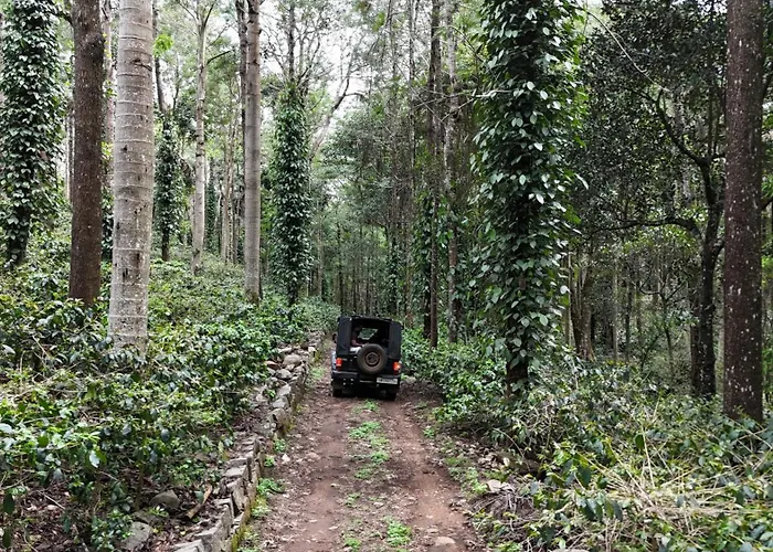 Dnc Shevaroys Resorts & Spa Yercaud
