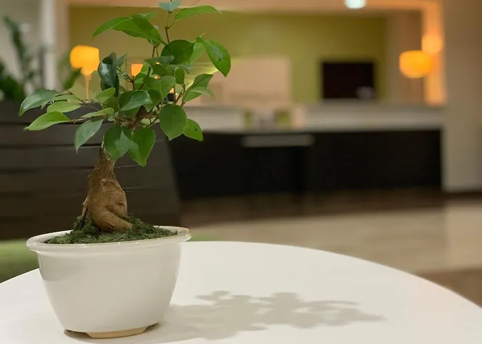 Holiday Inn Mayaguez & Tropical Casino By Ihg