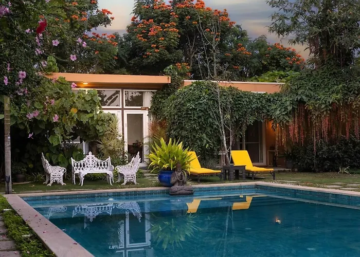 Orchid Tree Nature Stays Malur