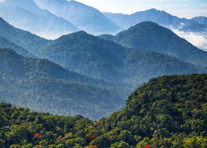 Jungle Park Resort-Rain Forest Experience By Greenescapes Vythiri