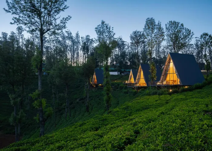 Triangle Valley Ooty