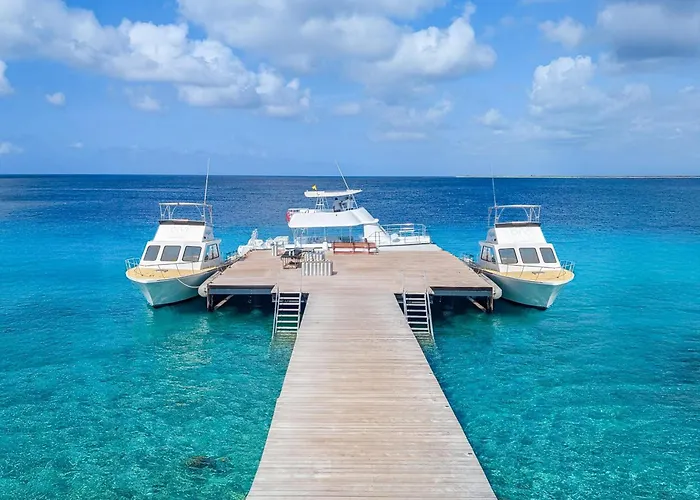 Divi Flamingo Beach Resort Kralendijk