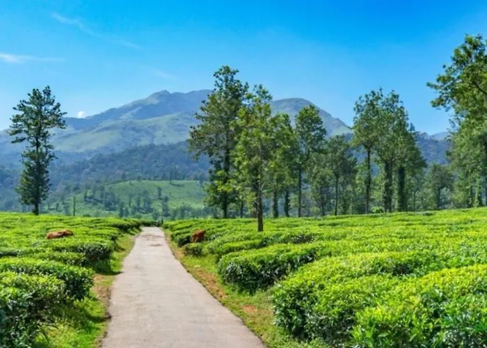 Bhuvi Wayanad Nature Retreat - Near Forest With Activities, Ideal For Couples