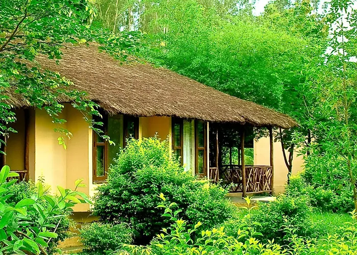 Jim'S Jungle Retreat Hotel Ramnagar 