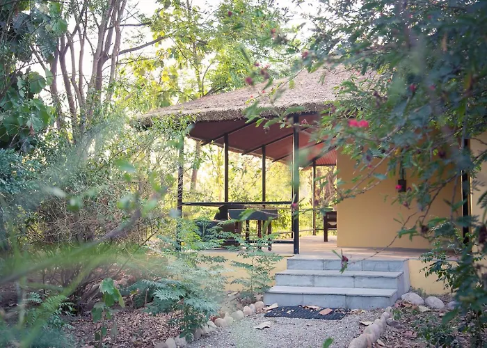 Jim'S Jungle Retreat Hotel Ramnagar 