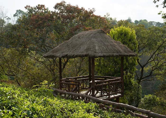 Eterno Camellia & Elettaria Resort With Pool Munnar