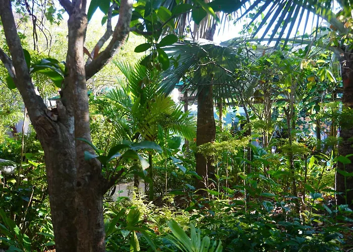 Vela Phu Quoc Resort