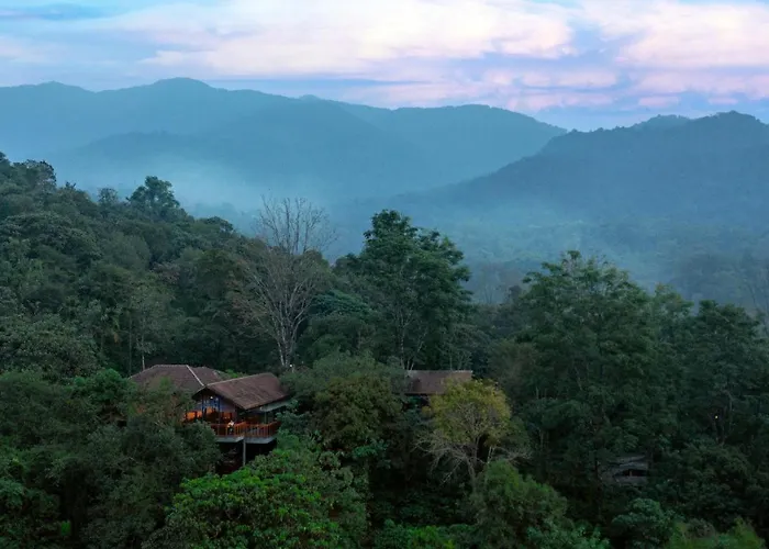 Vythiri Mist Resort