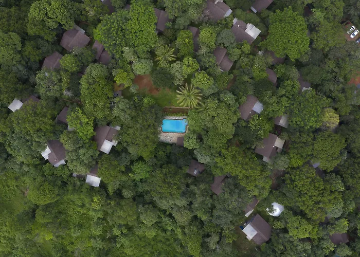 Letstay Adithya Nature Resort & Spa Vythiri